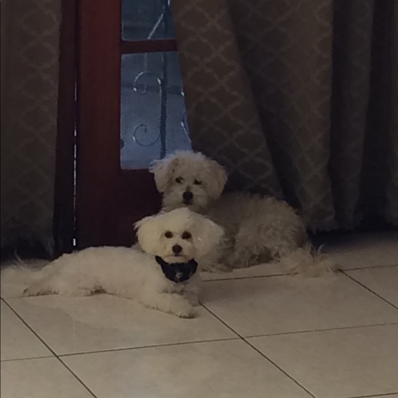 Meet your Posher, Erica - Picture 1 of 1